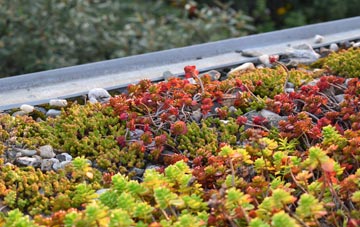 the cost of Dunsill green roof installation