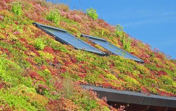 Dunsill living roof systems