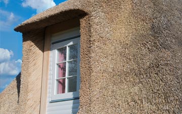 Dunsill thatch roof disadvantages